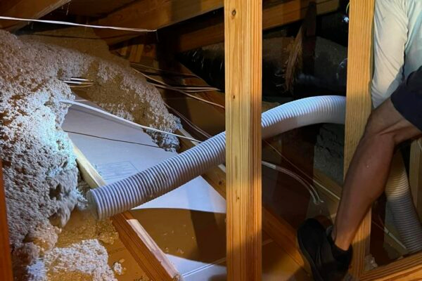 replace attic insulation